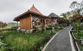 Padi Bali Villa